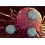 CRISPR Turbocharges CAR T Cells Boosts Cancer Immunotherapy