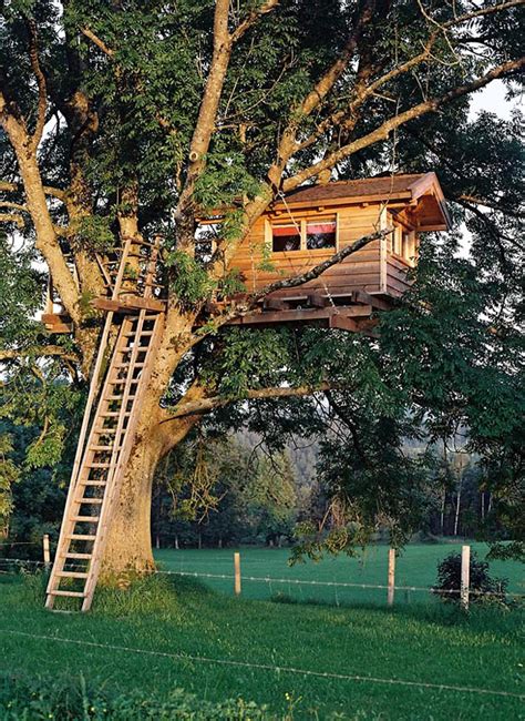 20 Modern Tree Houses By Baumraum Homemydesign