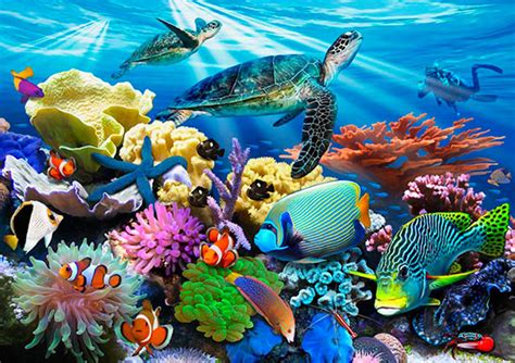 Download Underwater Murals Sea Life Wallpaper Your Way By Bcarter15