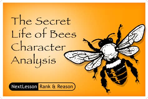 The Secret Life Of Bees Character Analysis Critical Thinkingproblem Solving Skills