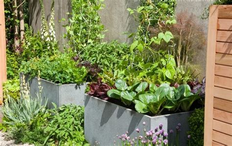Choosing the right plants for your site is most important. How to Make Kitchen Garden in Pots | Container Kitchen Garden