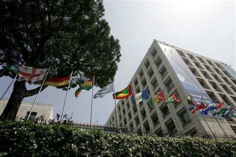 The food and agriculture organization (fao) of the united nations is a specialized agency of the united nations that leads international efforts to defeat hunger. Proud to host Fishackathon at FAO Headquarters in Rome ...