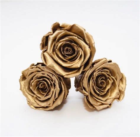 Xl Size Single Preserved Rose Metallic Preserved Rose Gold Etsy