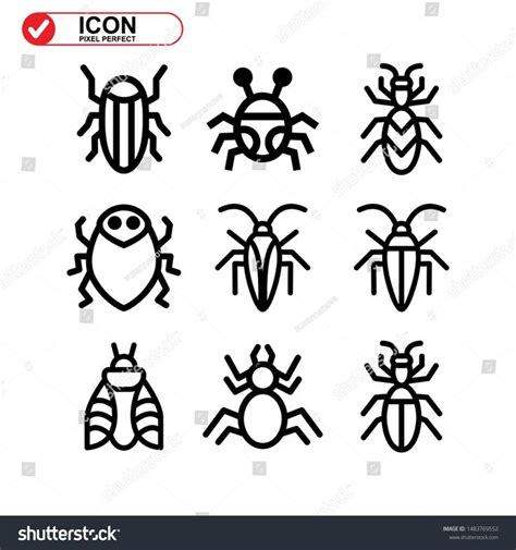 Insect Icon Isolated Sign Symbol Vector Illustration Collection Of