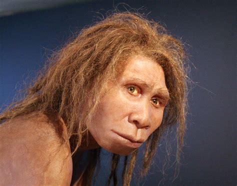 Неандерталец Википедия Фото Mixyfotos ru