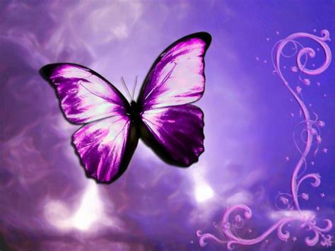 Free Download Most Beautiful Butterflies Wallpaper My Image 1280x1024