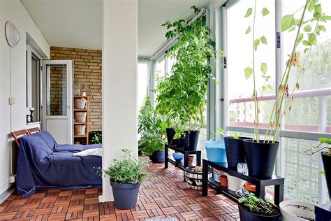 25 Indoor Garden Home Trends 2018