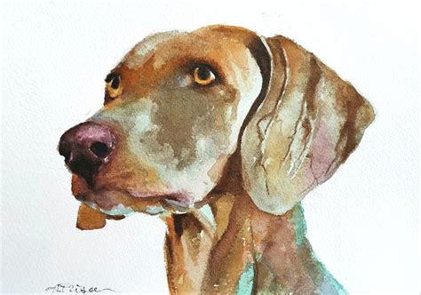 Redbone Coonhound Painting By Antonio Frison Fine Art America