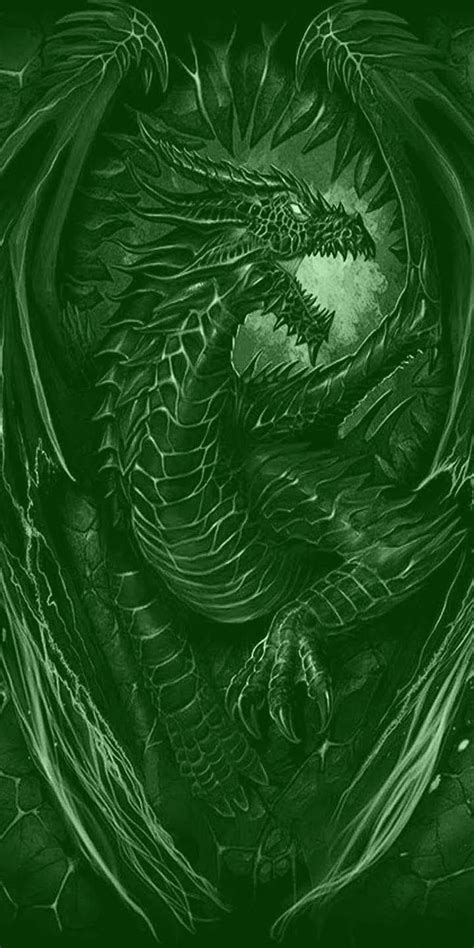 717 Green Dragon Wallpaper Hd Images Myweb