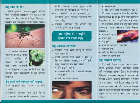 Prevention & Control of Dengue Fever Prevention