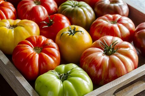 8 Great Heirloom Tomato Varieties To Grow For Incredible
