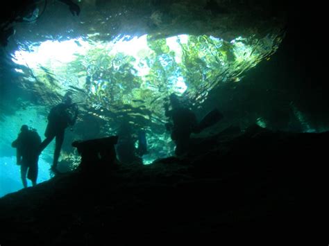 Free Images Formation Underwater Landform Ice Cave Marine Biology