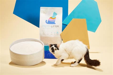 Prettylitter Cat Litter Reviews Prettylitter Review Braandthings