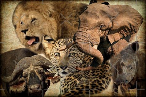 Africas Big Five Posters By Magriet Meintjes Redbubble