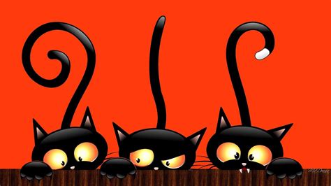 Black Cat Halloween Wallpaper 51 Images