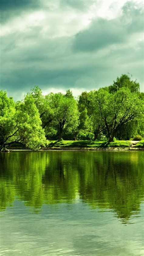 Green Trees In Front Of Lake With Cloudy During Daytime 4k