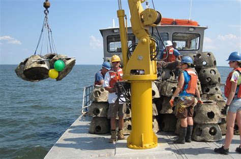 Chesapeake Bay Foundation Office Photos