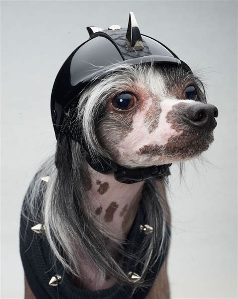Dog Helmets Claw Spikes Mohawk Dog Helmet