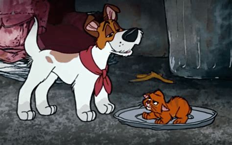 Best Dog Movies On Disney Plus Canine Centric Content Worth Watching
