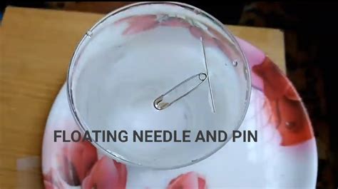 How To Make A Needle Float In The Water Floating Needle Experiment