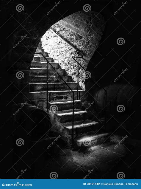 Old Cellar Staircase In Low Light Stock Photo Image Of Frame Dark