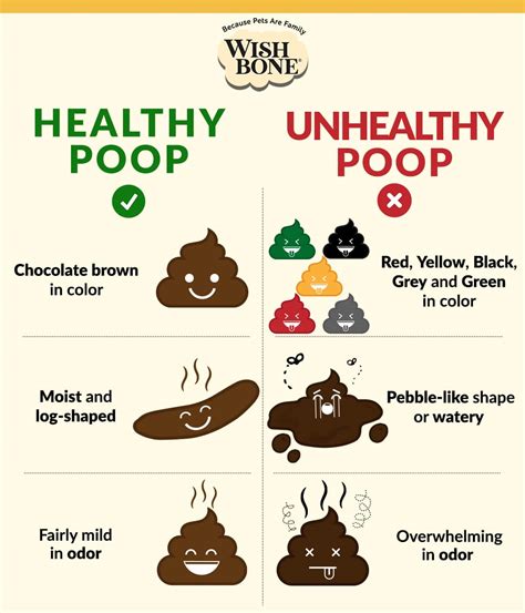Infographic The Difference Between Healthy And Unhealthy Poop Wishbone