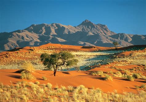Viajes Por Todo El Mundo Del Desierto De Kalahari A Las Cataratas Victoria