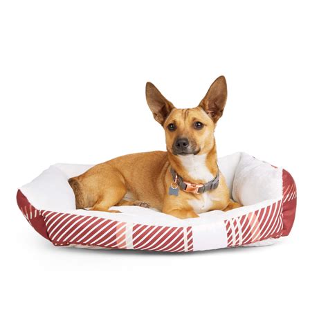 Everyyay Essentials Snooze Fest Round Nester Dog Bed 24 L X 18 W X 5