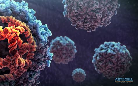 Check spelling or type a new query. 3D Medical Illustration Gallery - Medical & Scientific ...