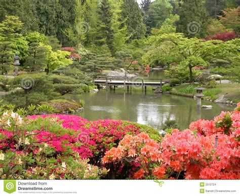 In berlin gibt es zumindest einen ort an dem man ein paar mehr japanische pflanzen finden kann: Japanischer Garten stockfoto. Bild von sträuche, nebenfluß ...