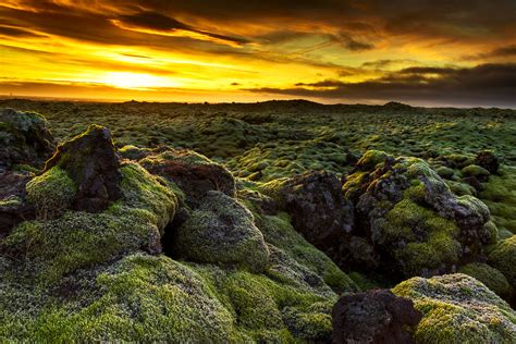Sunrise At Eldhraun Lava Fields Moss Covered Lava Field Ba Flickr