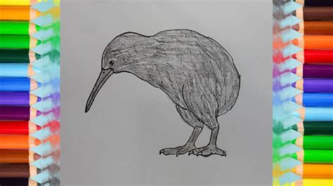 Your child will soon be drawing small birds, funny looking birds, or cute. How to Draw a Kiwi Bird step by step | bird drawing easy