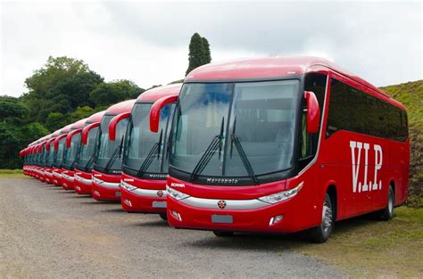 Vip Transport Bus Fares Destinations Parcels And More — April 2024