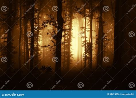 Dark And Scary Caves With A Long Tunnel Royalty Free Stock Photo