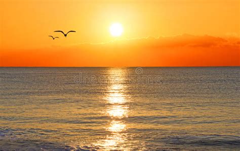 Sunset Over An Ocean Stock Photo Image Of Light Ocean 29052752