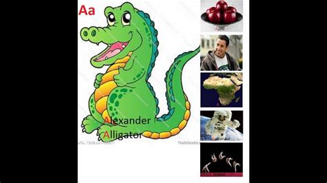 Animal Alphabet Friends Youtube