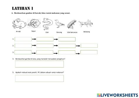 latihan rantai makanan interactive worksheet live worksheets