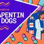 Gabapentin Dog Dosage Chart