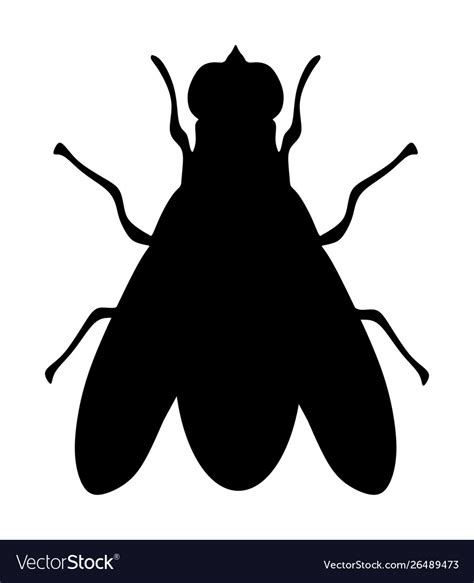 Fly Icon Silhouette Isolated On White Background Vector Image