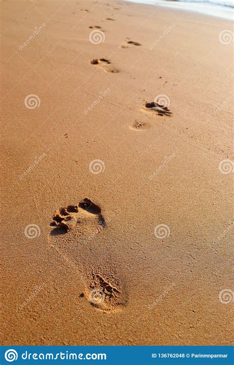 Foot Steps In The Desert Stock Photography 31496738