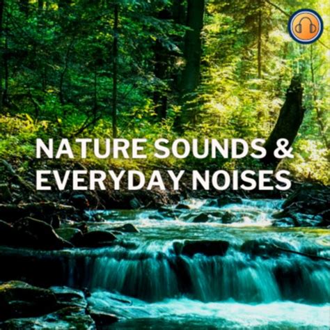 Nature Sounds And Everyday Noises Podcast Podcast On Spotify