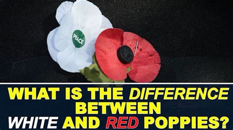 Gold Leaf Poppy Released To Mark World War I Centenary On Remembrance