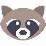 Icon Raccoon Animal Animals Icons Wild Wildlife