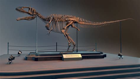 Carcharodontosaurus Skeleton 3d Model Cgtrader