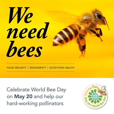 Resources World Bee Day Australia