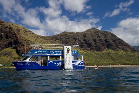 Hawaii Experiences Dolphin And Snorkeling Tours In Hawaii