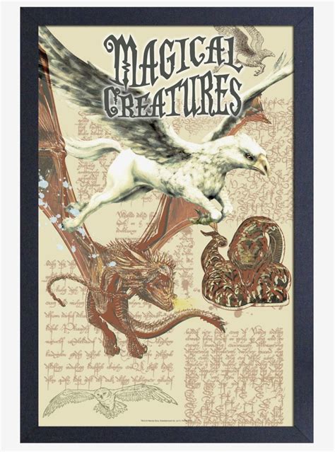 Harry Potter Magical Creatures Poster Harry Potter Poster Magical