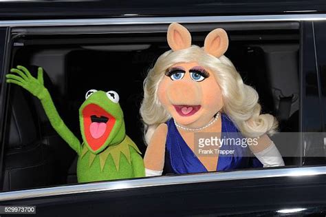 Kermit And Miss Piggy Photos And Premium High Res Pictures Getty Images