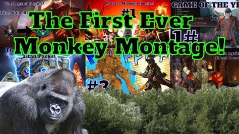 Monkey Montage Fails And Funny Moments Of The Week Youtube