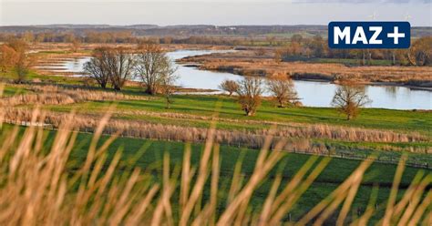 Things to do in brandenburg, germany: Brandenburg in Zahlen: Die wichtigsten Fakten des Jahres